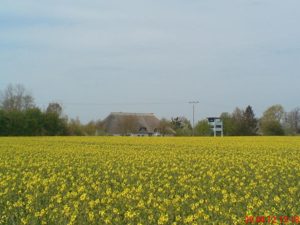 Landhotel Teichwiesenhof Oldenburg in Holstein Esterno foto
