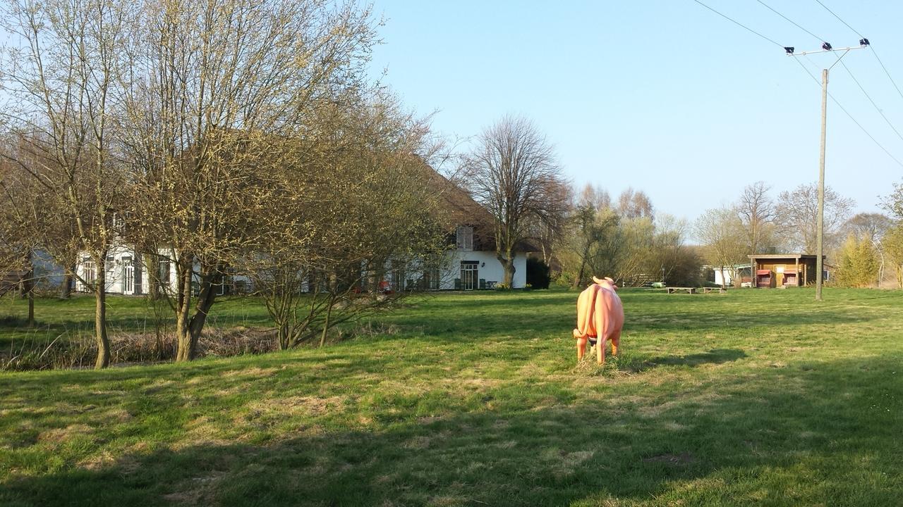 Landhotel Teichwiesenhof Oldenburg in Holstein Esterno foto