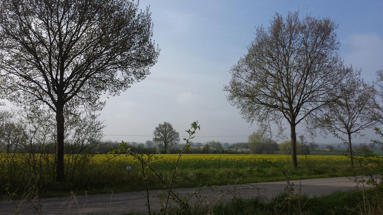 Landhotel Teichwiesenhof Oldenburg in Holstein Esterno foto